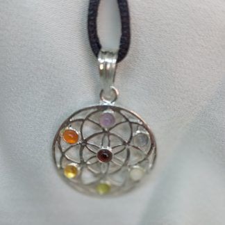 Colgante Circulo con minerales de los Chakras